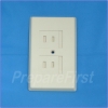 Outlet Cover - 2 prong - IVORY